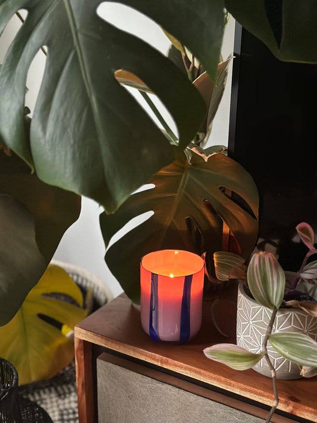 Atina Candle - Blackcurrant & Oudh - Maegan