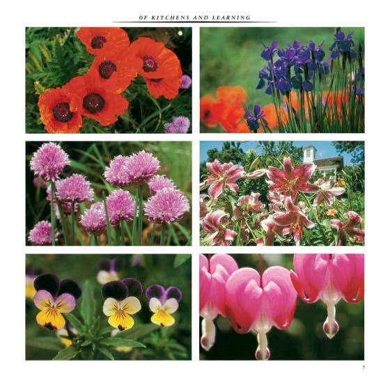 Entertaining by Martha Stewart