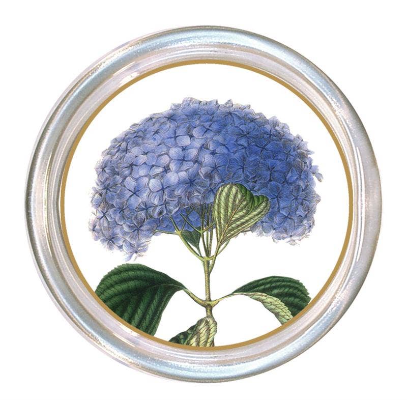 Blue Hydrangea on White Coaster