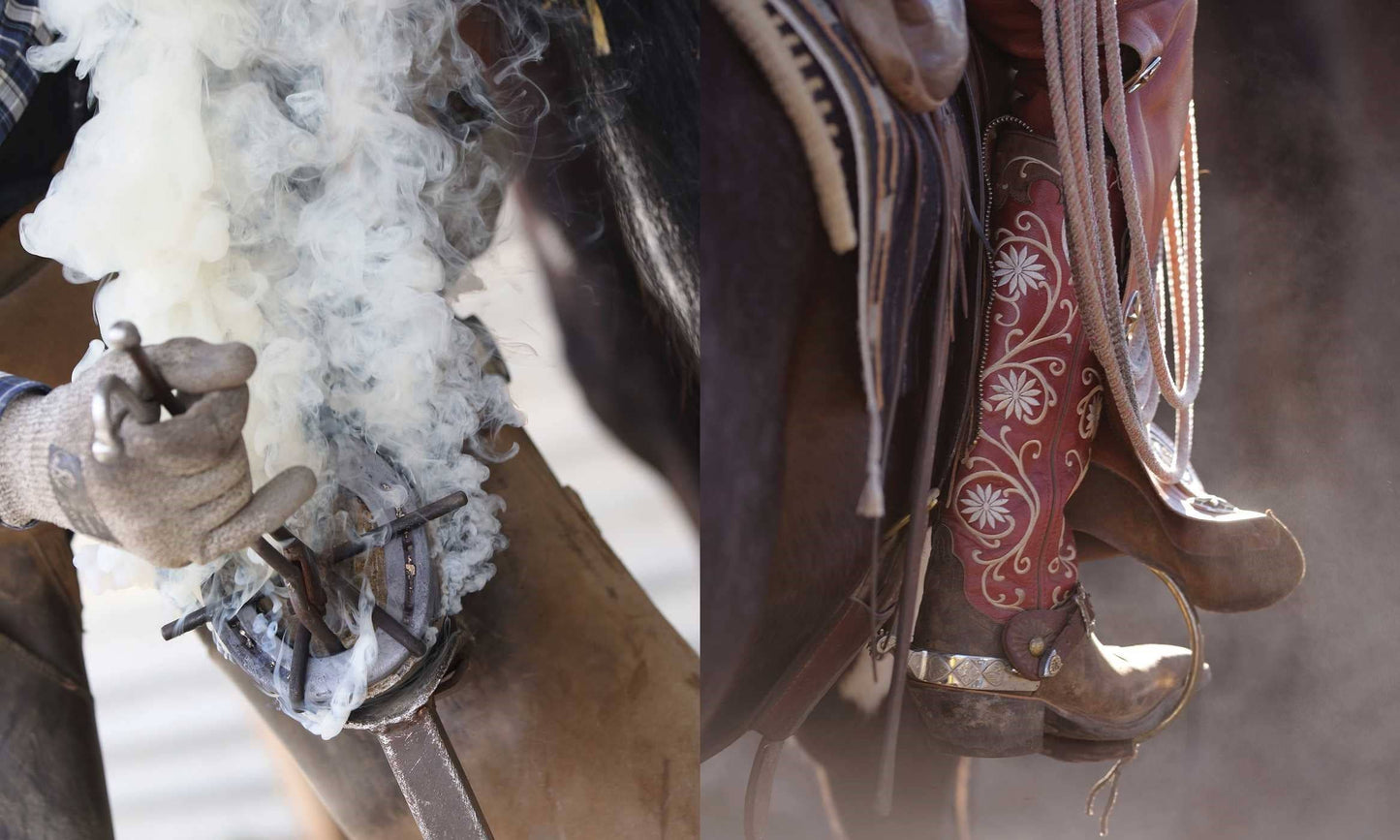 Horse Country Book