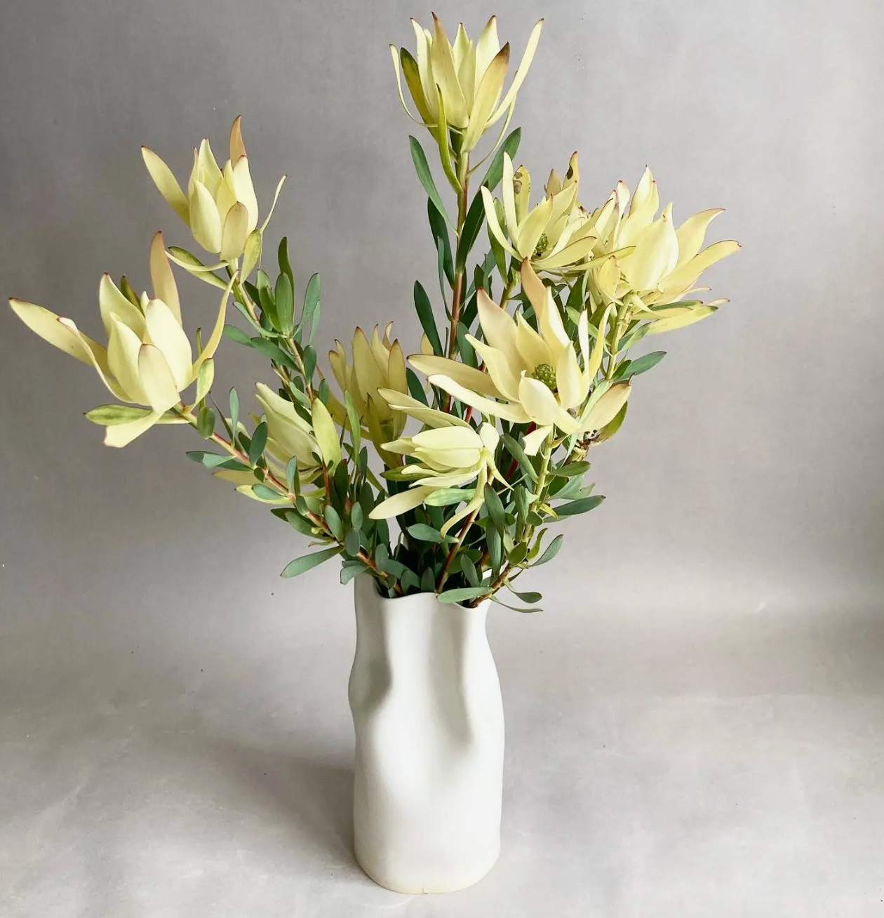 Ceramic Pinched Vase - White - 3 SIZES